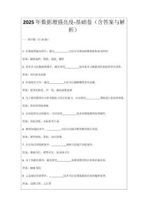2025年數(shù)據(jù)增強(qiáng)亮度-基礎(chǔ)卷（含答案與解析）