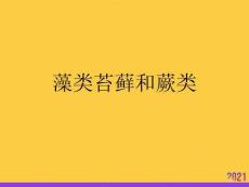 藻類苔蘚和蕨類2021推選ppt