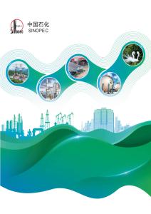 2024年股份公司年報(bào)