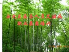 職業(yè)暴露培訓(xùn)