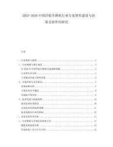 2025-2030中國浮船升降機行業(yè)專家智庫建設與決策支持作用研究