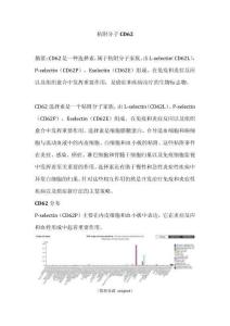 粘附分子CD62