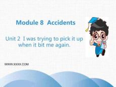 4I was trying to pick it up when it bite me again-英語(yǔ)課件