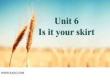 4Is this your skirt-英語課件