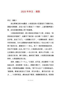 2025年作文：捐款