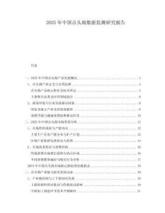 2025年中國(guó)音頭綿數(shù)據(jù)監(jiān)測(cè)研究報(bào)告