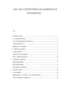 2025-2030中國浮船升降機行業(yè)企業(yè)戰(zhàn)略轉型與組織變革路徑研究