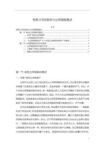 有限公司的股權(quán)與出資瑕疵概述9300字