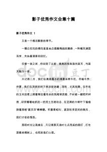 影子優(yōu)秀作文合集十篇
