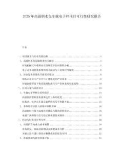 2025年高溫鋼水包車載電子秤項目可行性研究報告