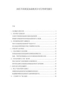 2025年齒輪泵加油機(jī)項(xiàng)目可行性研究報(bào)告