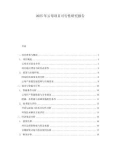 2025年云母項目可行性研究報告