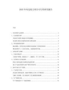 2025年布邊剪刀項目可行性研究報告