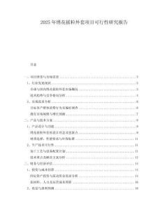 2025年繡花搖粒外套項(xiàng)目可行性研究報(bào)告