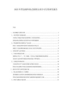 2025年黑金剛外熱式烙鐵頭項(xiàng)目可行性研究報(bào)告
