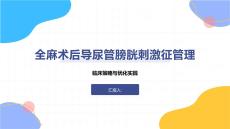 全麻術(shù)后導(dǎo)尿管膀胱刺激征管理