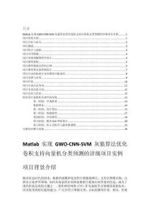 Matlab實現(xiàn)GWO-CNN-SVM灰狼算法優(yōu)化卷積支持向量機分類預(yù)測的詳細(xì)項目實例（含完整的程序，GUI設(shè)計和代碼詳解）