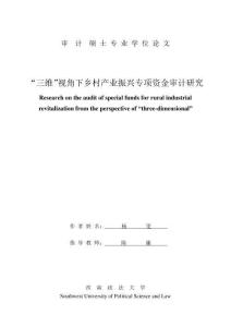 “三維”視角下鄉(xiāng)村產(chǎn)業(yè)振興專項資金審計研究