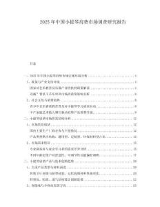 2025年中國小提琴肩墊市場調(diào)查研究報(bào)告