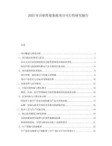 2025年自粘性便條紙項目可行性研究報告