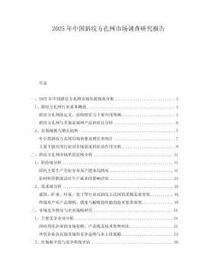 2025年中國斜紋方孔網(wǎng)市場調(diào)查研究報(bào)告