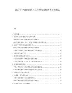 2025年中國(guó)斜面凹凸立體便箋市場(chǎng)調(diào)查研究報(bào)告