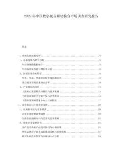 2025年中國數(shù)字視音頻切換臺市場調(diào)查研究報告