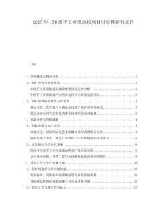 2025年120道手工絲織地毯項(xiàng)目可行性研究報(bào)告