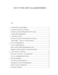 2025年中国助力器带主缸总成数据监测报告