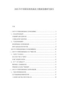 2025年中國斜齒倒角插齒刀數(shù)據(jù)監(jiān)測研究報告