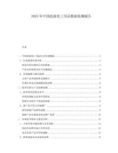 2025年中國洗滌化工用品數據監測報告