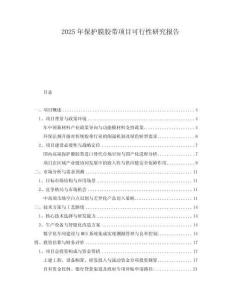 2025年保護(hù)膜膠帶項(xiàng)目可行性研究報(bào)告