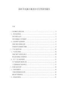 2025年夾板卡板項目可行性研究報告
