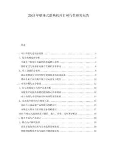 2025年壁掛式溫熱機項目可行性研究報告