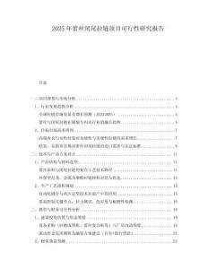 2025年蕾絲閉尾拉鏈項(xiàng)目可行性研究報(bào)告
