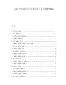 2025年單通道氣體檢測(cè)儀項(xiàng)目可行性研究報(bào)告