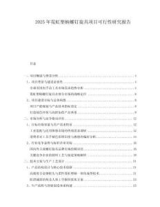 2025年霓虹塑柄螺釘旋具項(xiàng)目可行性研究報告