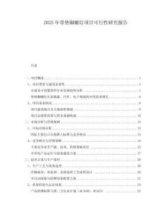 2025年帶墊圈螺釘項(xiàng)目可行性研究報告
