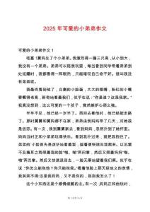 2025年可愛(ài)的小弟弟作文