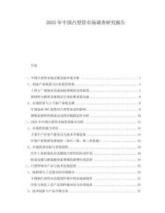2025年中國凸型管市場(chǎng)調(diào)查研究報(bào)告