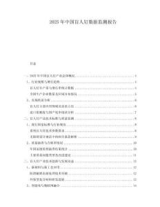 2025年中國盲人釘數(shù)據(jù)監(jiān)測報(bào)告