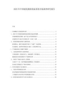 2025年中國?；⒅楸叵到y(tǒng)市場調(diào)查研究報(bào)告