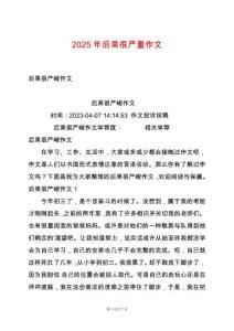 2025年后果很嚴(yán)重作文
