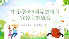 中小學626國際禁毒日宣傳主題班會