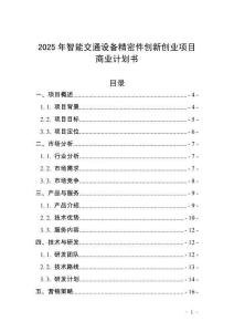 2025年智能交通設(shè)備精密件創(chuàng)新創(chuàng)業(yè)項(xiàng)目商業(yè)計(jì)劃書