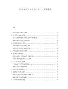 2025年膠背地巾項(xiàng)目可行性研究報(bào)告