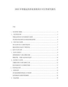 2025年智能遠傳抄表系統(tǒng)項目可行性研究報告