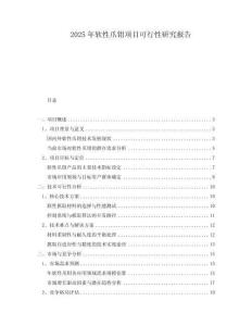 2025年軟性爪鉗項(xiàng)目可行性研究報(bào)告