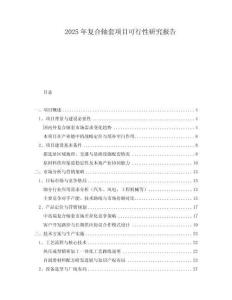 2025年復(fù)合軸套項(xiàng)目可行性研究報(bào)告