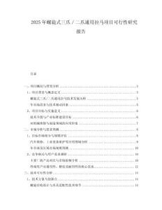 2025年螺旋式三爪／二爪通用拉馬項(xiàng)目可行性研究報(bào)告